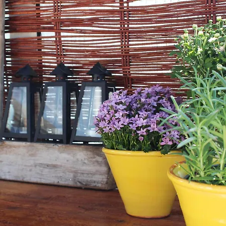 Apartament Der Eulenschlupf Ühlingen-Birkendorf