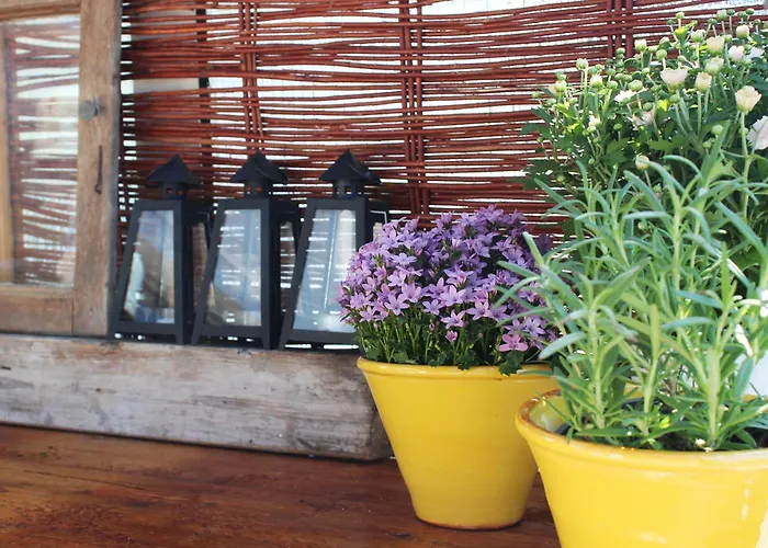 Apartament Der Eulenschlupf Ühlingen-Birkendorf